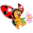 फूल के साथ Ladybug