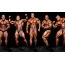 Competition Bodybuilding