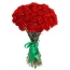 Carnations Red