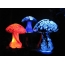 Firefly Mushrooms <img class = "alignnone gréisst-grouss