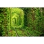 녹색 터널
