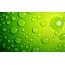 Water drops on light green background