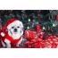 Dog, белектер, Christmas дарагы