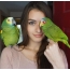 Girl with parrots