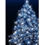 Vánoční strom na ploše