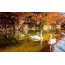Autumn, biyu swans