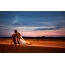 Love couple watching sunset