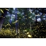 Fireflies metsässä