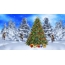 شجرة عيد الميلاد والغزلان