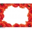 Red poppies frame