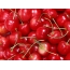 Cherries kwenye desktop