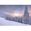 美しい夕日、森、雪