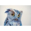 I-owl Blue