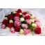 Fermoso bouquet de rosas