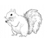 Siri squirrel