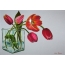 Tulipani in un vase