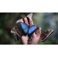 Fjärilar på hand