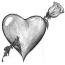 Srdce s růží