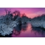 Purple západ slnka, zima, rieka