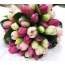 Kytice tulipánů