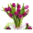 Tulipani u vazi