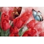 Nakreslený obrázek motýl a tulipány