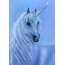 Beautiful unicorn