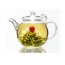Flower in a teapot