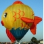 Balloon fish