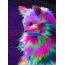 Multi-barevné kočka
