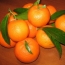 Tangerines kwenye meza