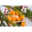 ક્રિસમસ ચિત્ર tangerines