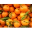 Tangerines full screen