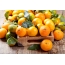 ડેસ્કટોપ માટે સુંદર tangerines