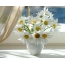 ភួងនៃ daisy នៅក្នុង vase មួយ