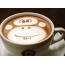 Monkey in a cup of coffee
