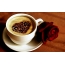 कॉफी और गुलाब का कप
