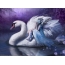 Girl on a swan
