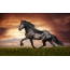 Krásny západ slnka kôň