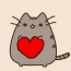 Mačka sa srcem