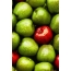 전체 화면으로 녹색 및 빨강 사과