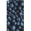 Blueberry full screen