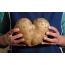 Cartof în formă de inimă