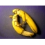 Bananoj en amo