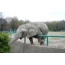 Слон і паркан
