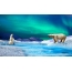 સ્ક્રીન સેવર ઉત્તર ધ્રુવ પરની ચિત્ર