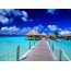 Sea, water bungalows