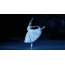Балерина дар марҳилаи