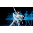 Ballet "Te Moana o Swan"