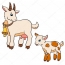 Коза и коза